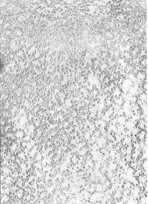 Bahnwärterhäuschen_0001