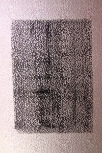 IMG_5137