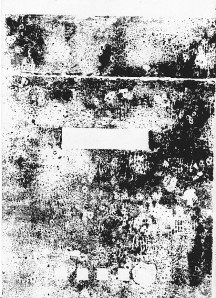 Ulmerstrasse_0007