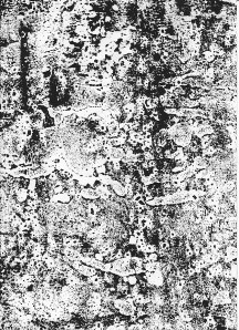 Ulmerstrasse_0009