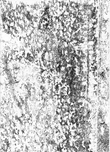 Ulmerstrasse_0021